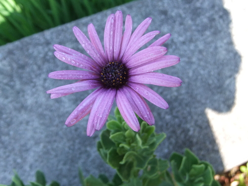 b0230589_10513579.jpg