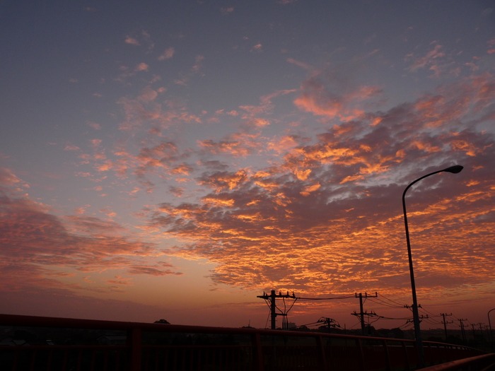 d0021491_17462086.jpg