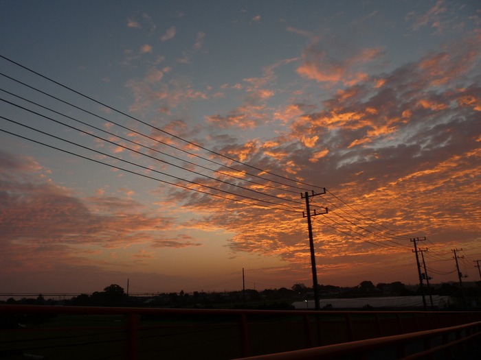 d0021491_1747152.jpg