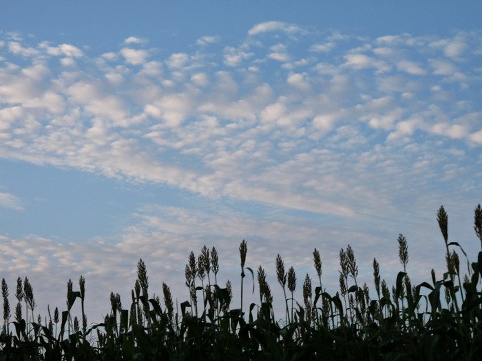 d0021491_17493280.jpg
