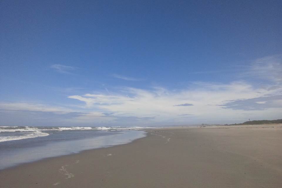 d0202792_10354586.jpg