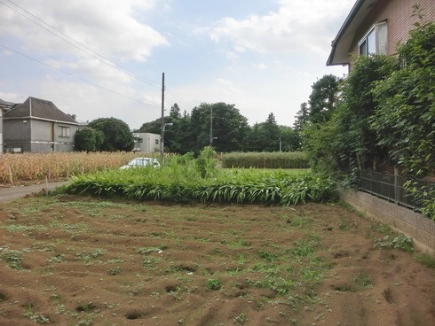 e0159192_20242625.jpg
