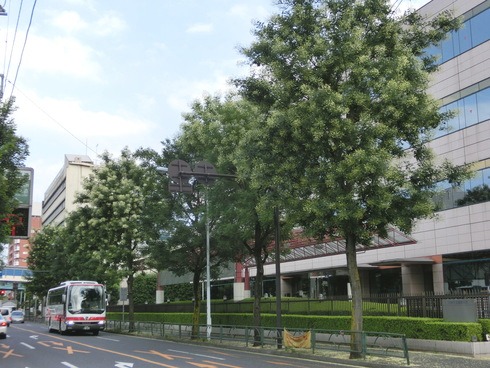 e0159192_2025185.jpg