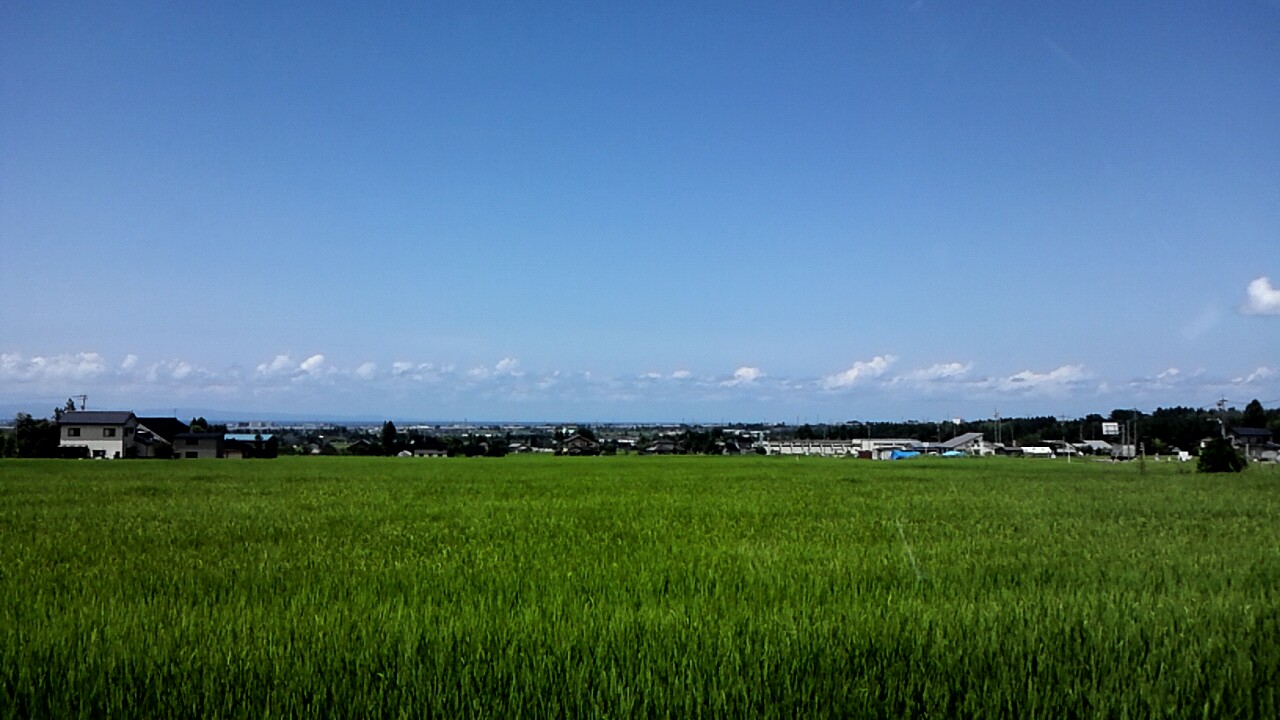 e0105596_12104652.jpg