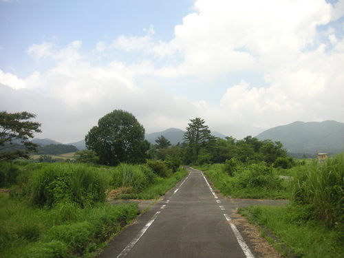 d0115997_035650.jpg