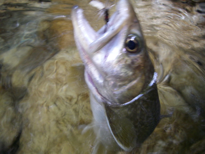 c0180802_19473424.jpg