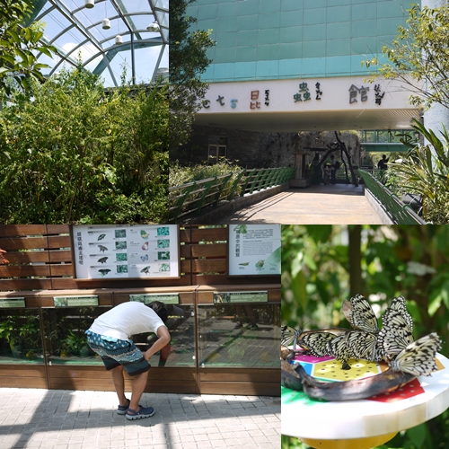 我愛台湾\'12～台北市立動物園へ！_d0133704_15414848.jpg