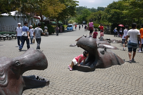 我愛台湾\'12～台北市立動物園へ！_d0133704_15441834.jpg