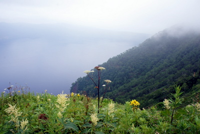 c0148705_1728079.jpg