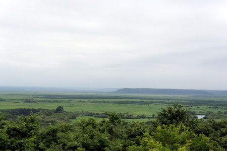c0148705_1750222.jpg