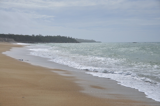 c0205806_174357.jpg