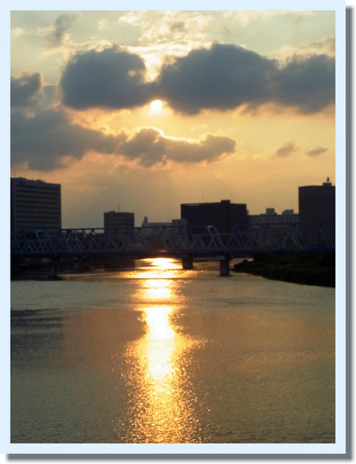 夏の夕方 仕事終わりはコレ 待ち受け拒否の海 ヨウムな生活