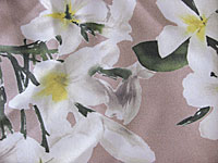 d0117518_824747.jpg