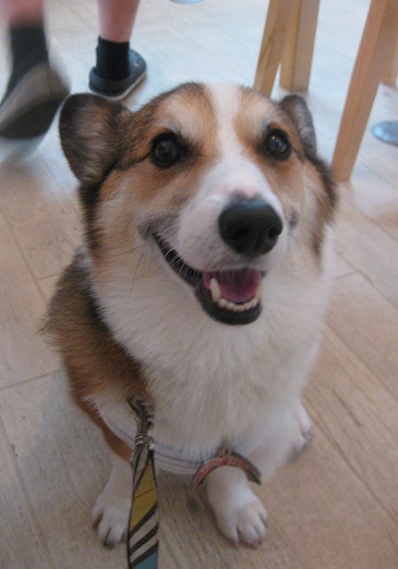 えびす君のお誕生会_f0155118_1042833.jpg