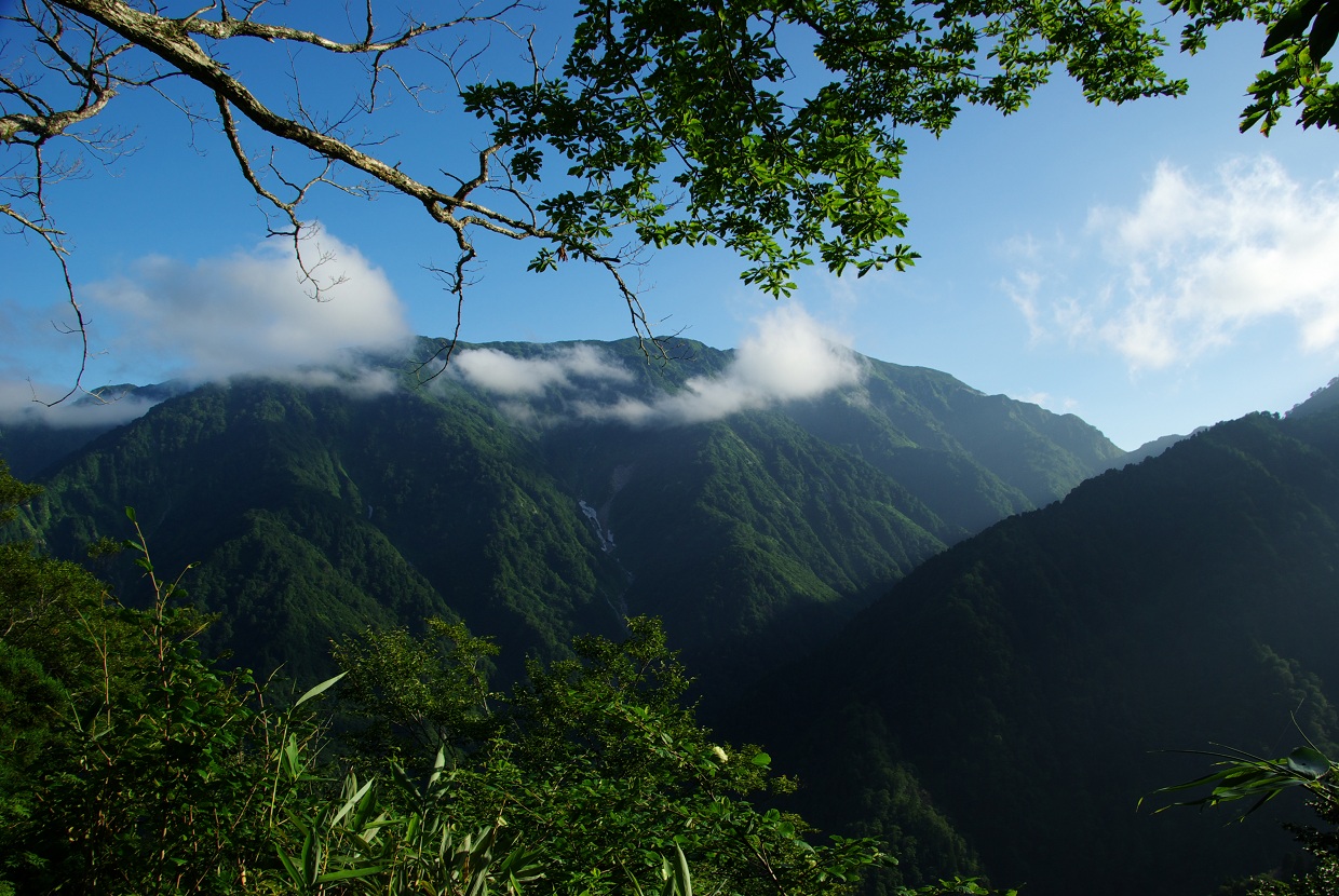 b0062024_17194316.jpg