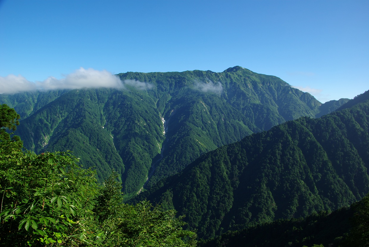 b0062024_17241033.jpg