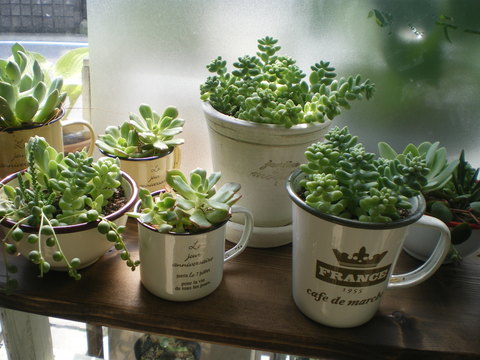 e0128024_12235753.jpg