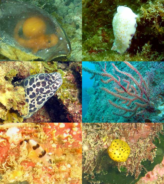 2012年8月10日(金・晴れ)甲浦_d0164831_1722233.jpg