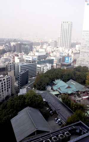 b0035734_20202434.jpg