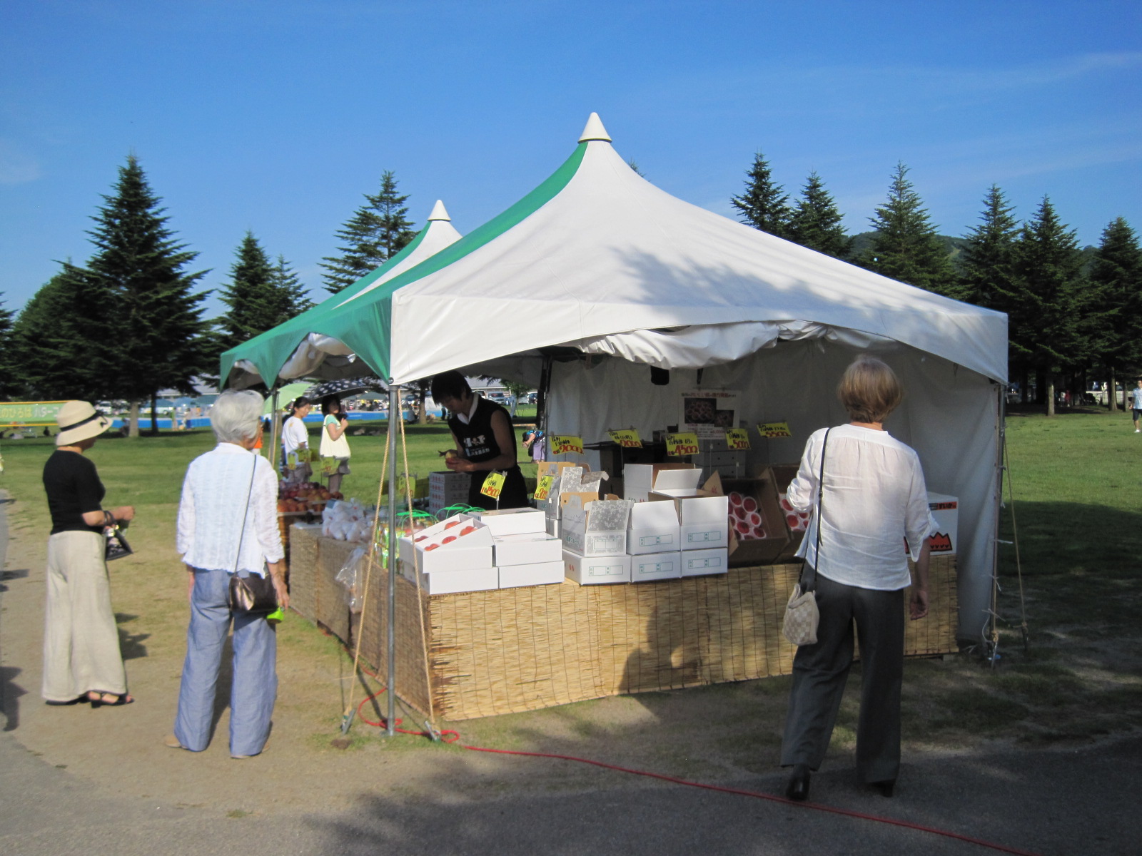 f0236260_1545852.jpg