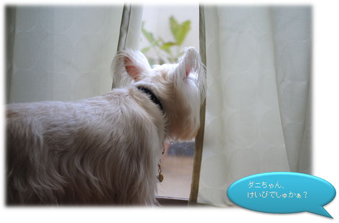 b0242873_21262985.png