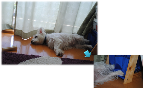 b0242873_21275517.png