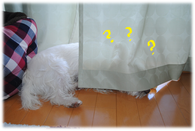 b0242873_21275928.png