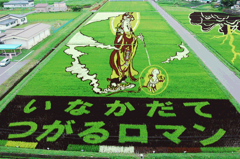 a0199979_17502785.gif
