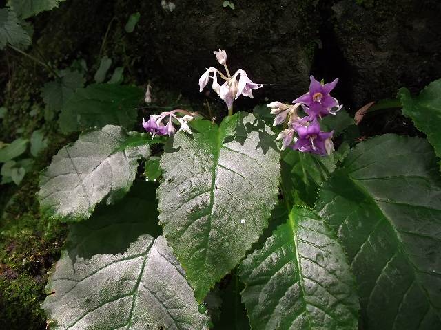 c0212083_20241349.jpg