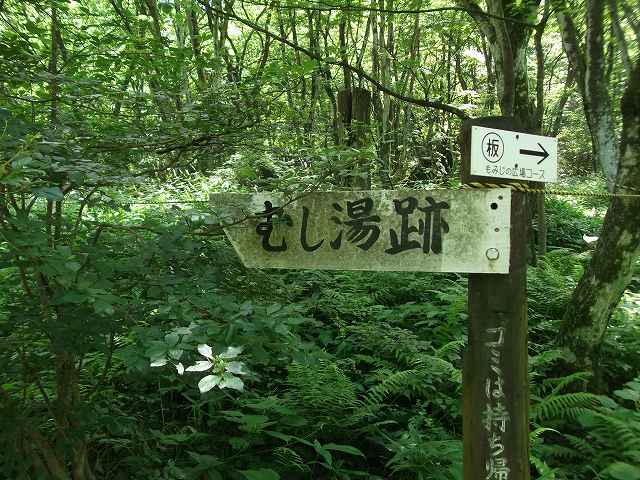 猛暑からの逃避・榛名湖へ_c0212083_20273021.jpg