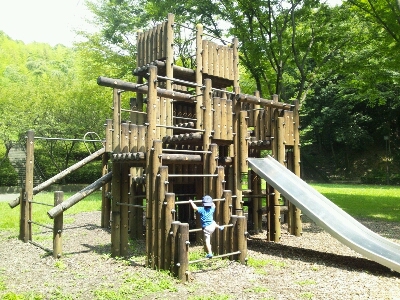f0050287_16885.jpg