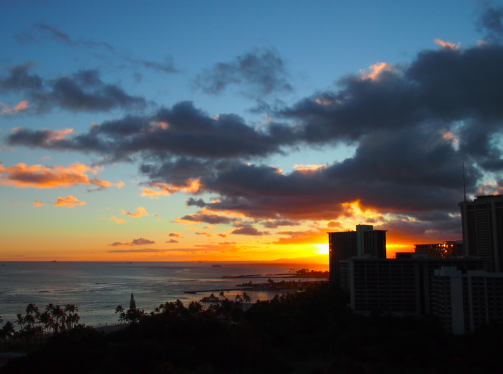 夏休み in HAWAII 〜その８・MORIMOTOでディナー〜_a0146493_2154868.png