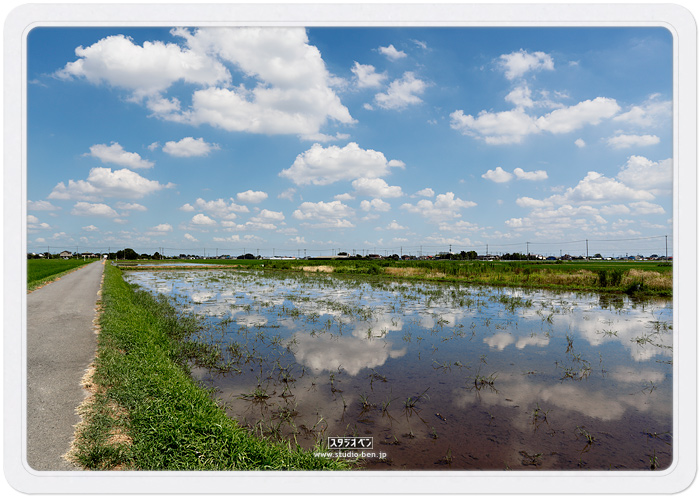 雲モク_c0210599_2252072.jpg