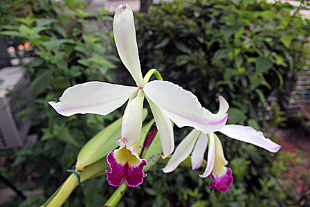 d0007501_13143860.jpg