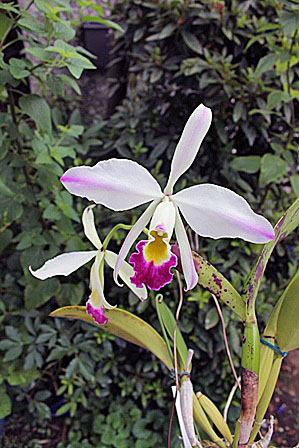 d0007501_1314629.jpg
