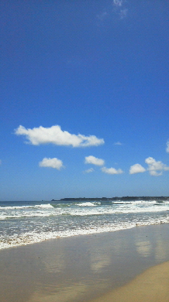 a0271502_12271184.jpg