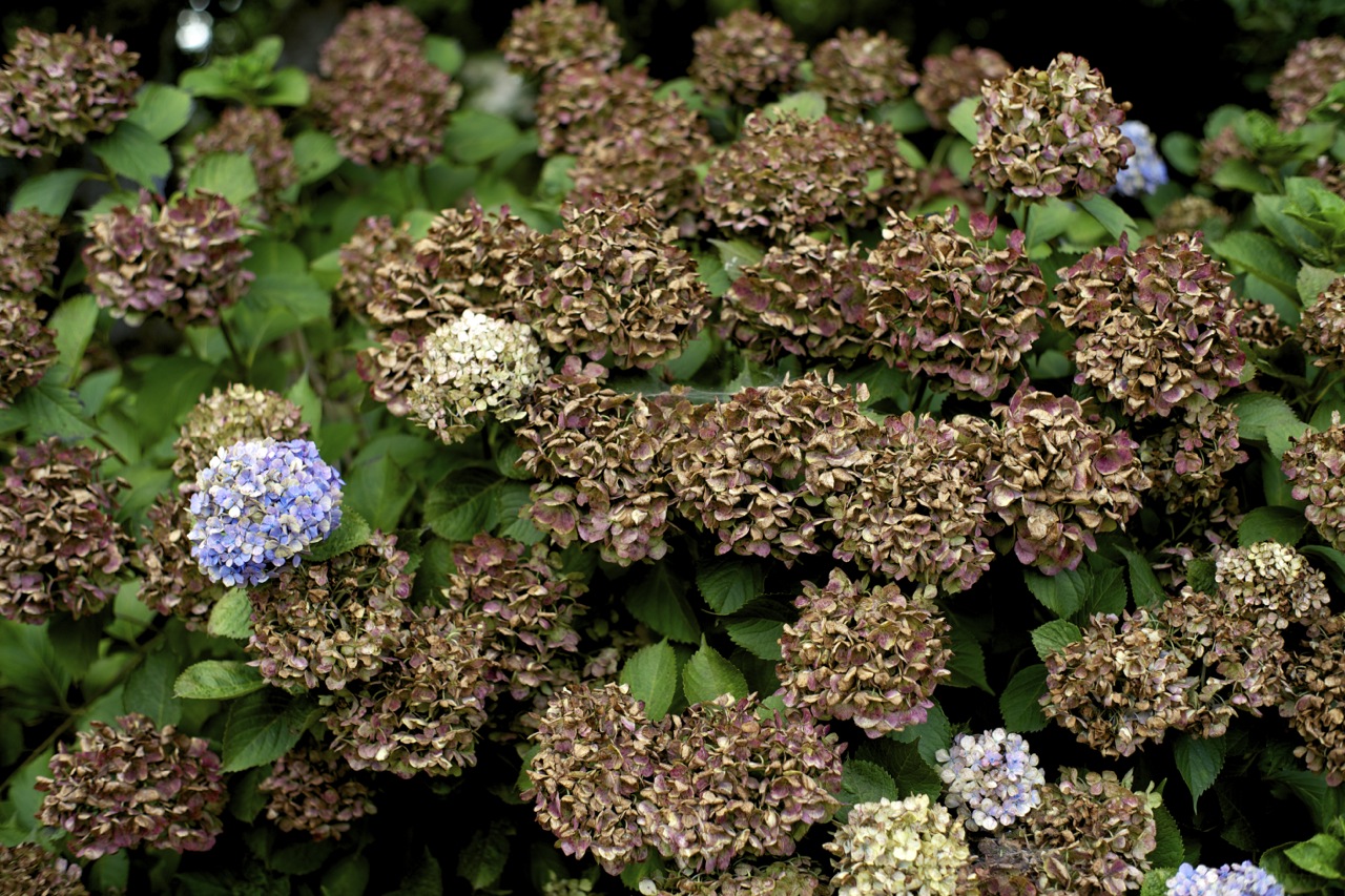 c0217406_180279.jpg