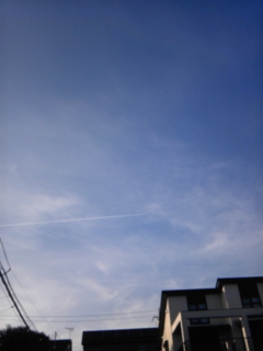c0050708_459459.jpg