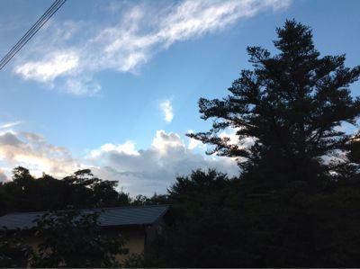 思わず写真を撮りました_e0179508_2214106.jpg