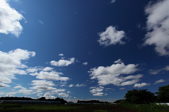 c0211309_22161145.jpg