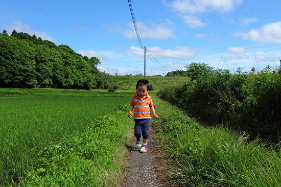 近所の田んぼ_c0211309_22162341.jpg