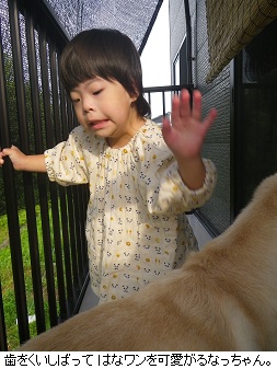 3週間に1回のシャンプー。_c0182012_1949067.jpg