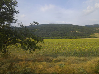 e0239312_234139.jpg