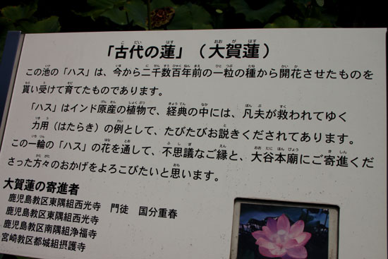 西大谷のお盆_e0048413_1648073.jpg