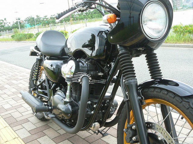 a0079019_8493893.jpg