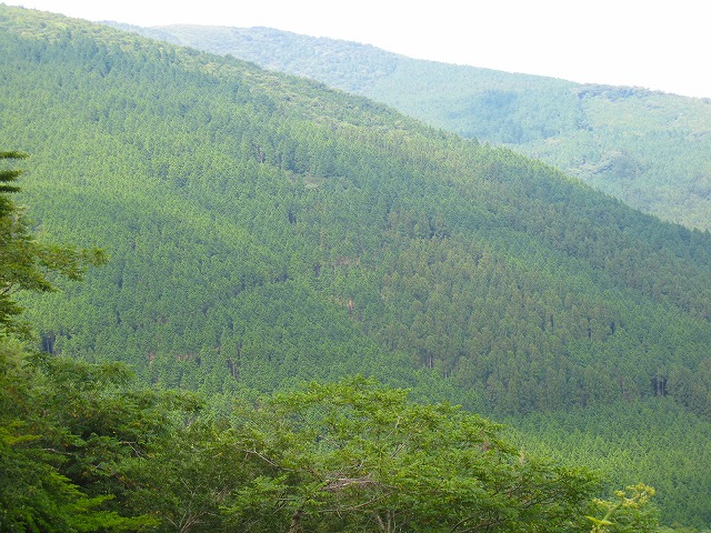 e0002820_1619246.jpg