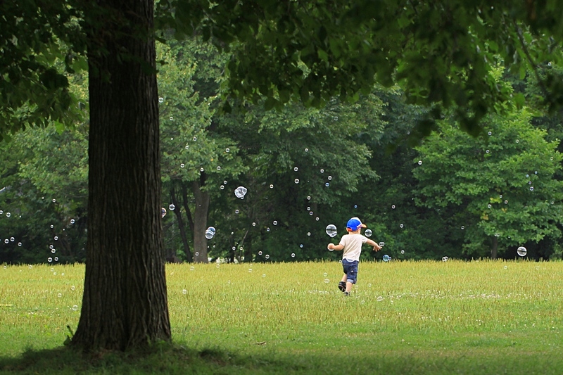 公園のお昼_a0114629_1855819.jpg