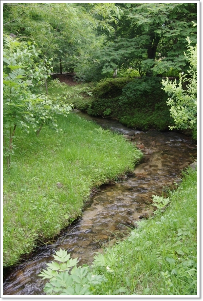 f0218836_2225881.jpg