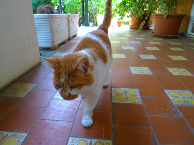 d0170140_21615.jpg
