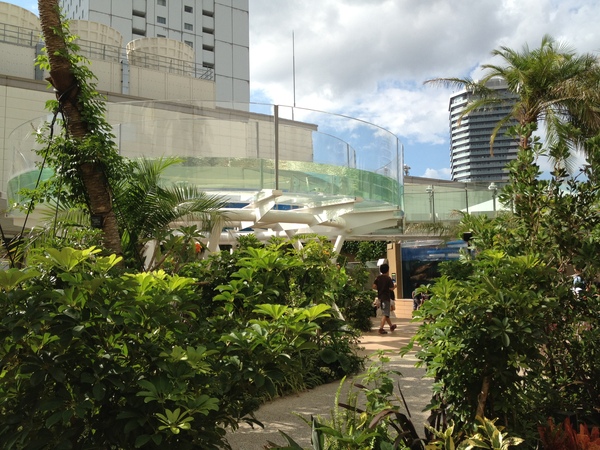 a0158241_20584060.jpg